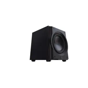 Perlisten R10s - Subwoofer